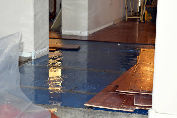 Professional Basement Flood Cleanup technician working in Dellrose, TN
